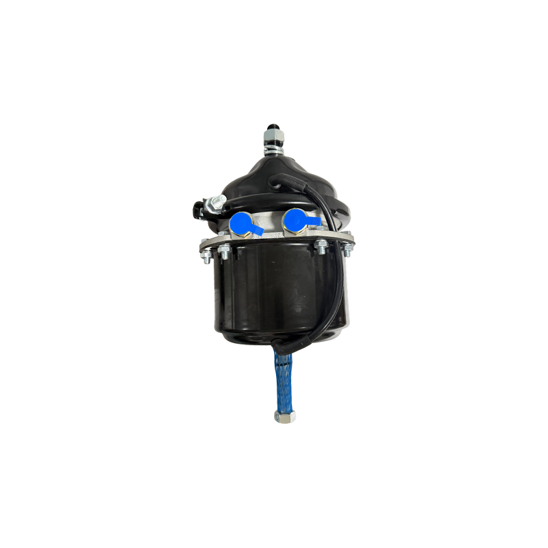 T2424DP کوتاه با Voss